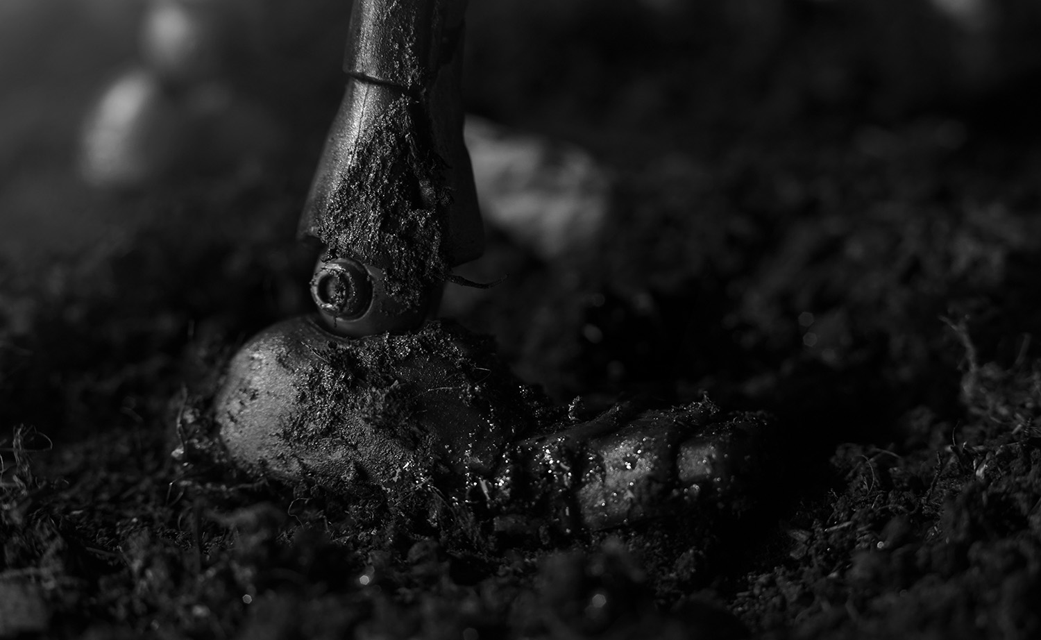 The Last Stand — Frame 03