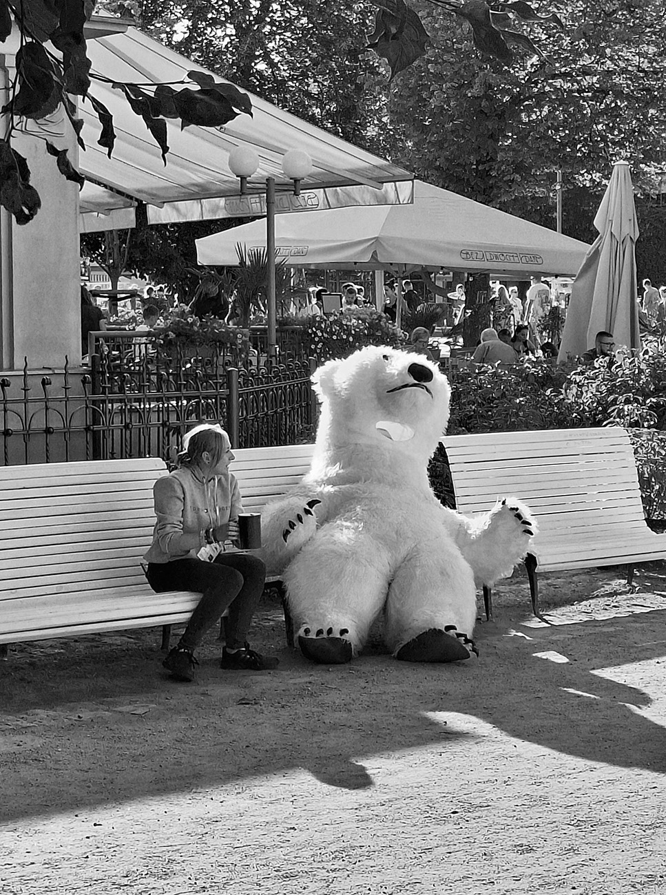 Street bear has clearly had enough, Sopot, Poland.